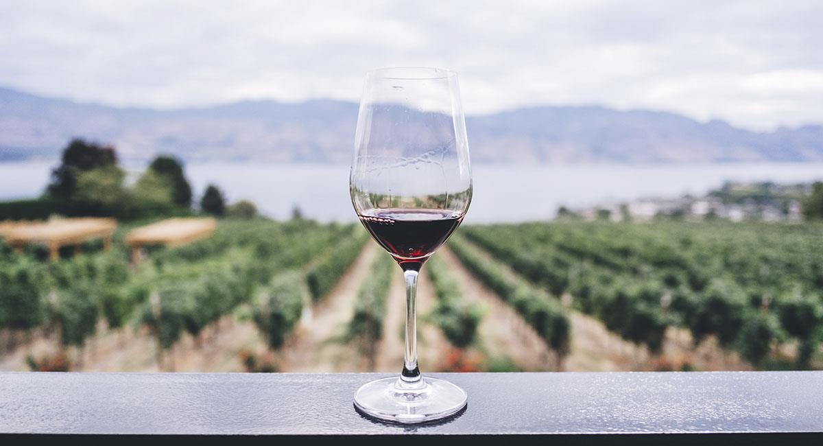 Beber dos copas de vino te hará reducir dos tallas. Foto: Unsplash