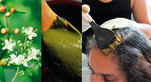 Cómo aplicar tintes vegetales en tu cabello