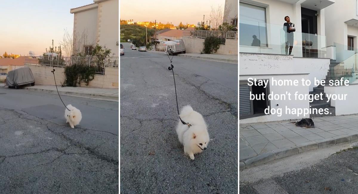 Hombre pasea a su perro con la ayuda de un dron. Foto: Facebook