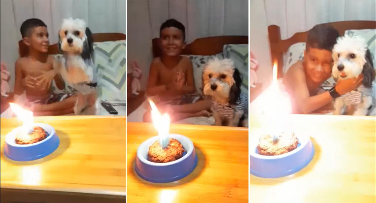 La felicidad de un perro al celebrar su cumpleaños junto a su familia. Foto: Facebook