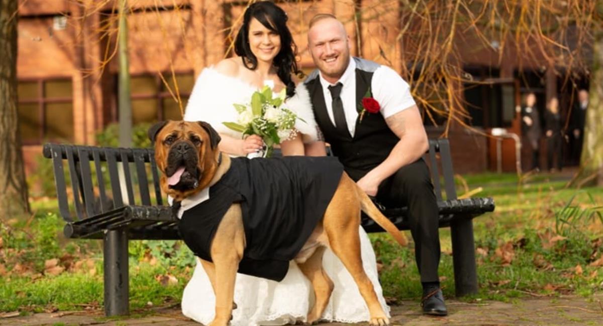 Pareja adelanta su boda para que su perro con cáncer pueda asistir. Foto: Facebook