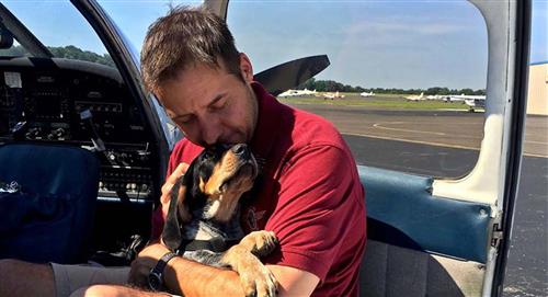 Hombre se compra avión para rescatar perros y gatos