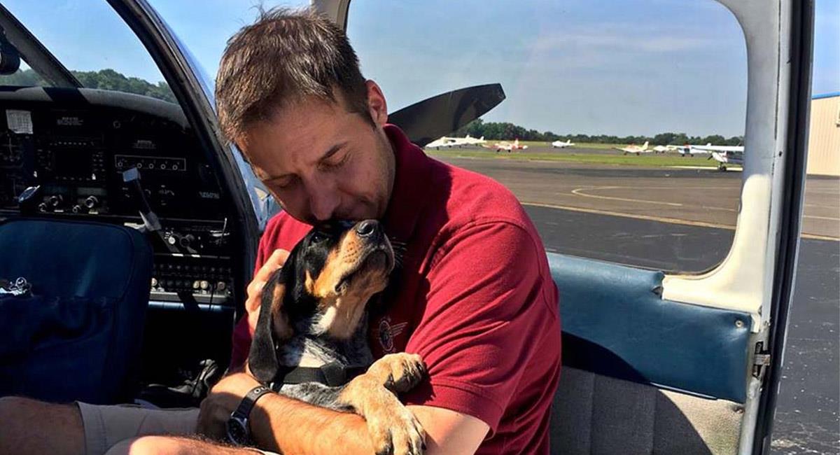 Hombre se compra avión para rescatar perros y gatos. Foto: Flying Fur Animal Rescue