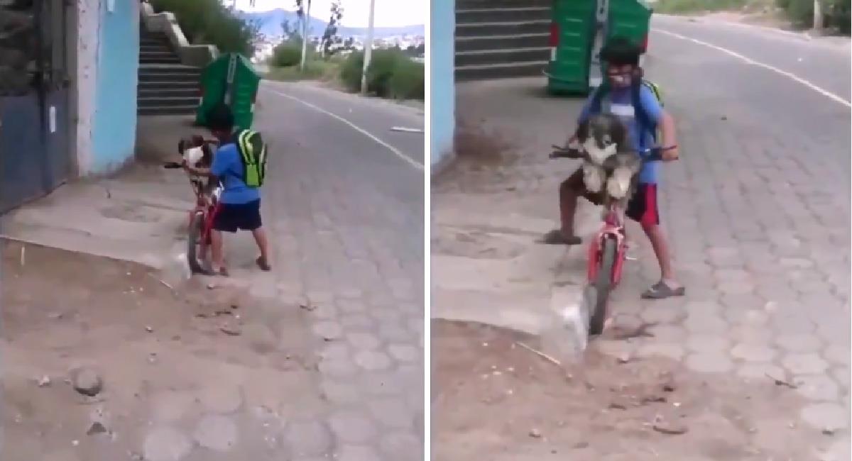Niño enternece internet por ponerle cubrebocas a su perro. Foto: Twitter