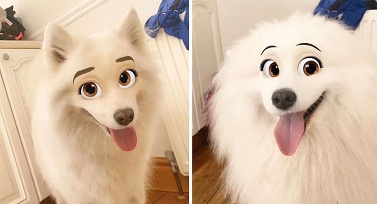 Filtro de Snapchat convierte a tu perro en personaje de Disney
. Foto: Twitter
