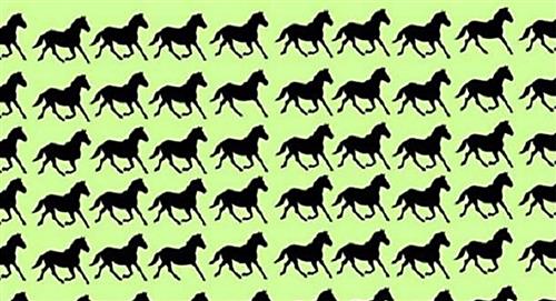 ¿Puedes hallar a los 6 caballos diferentes en 30 segundos?