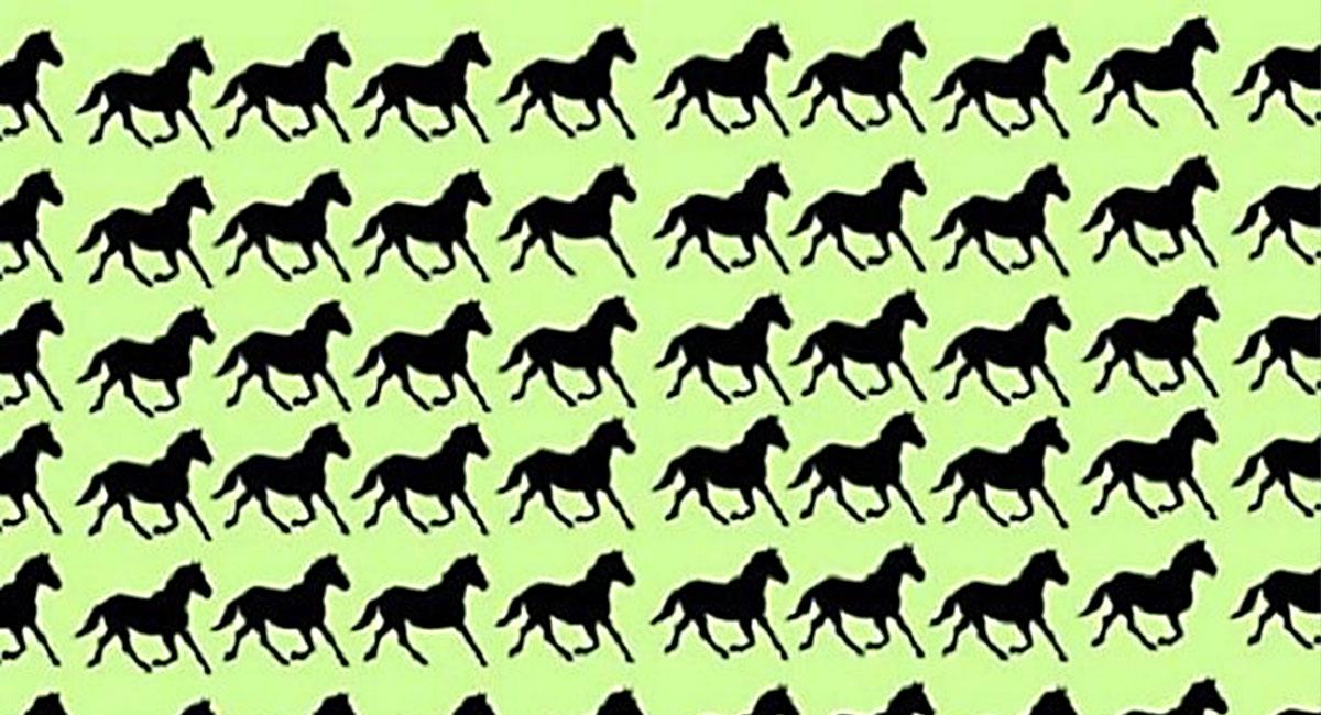 ¿Puedes hallar a los 6 caballos diferentes en 30 segundos?. Foto: Facebook