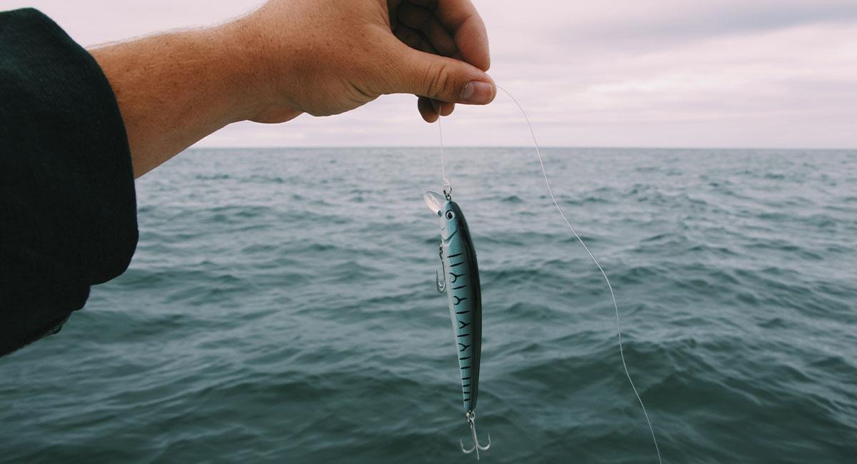Sacan a un pez vivo de la garganta de un hombre. Foto: Pexels