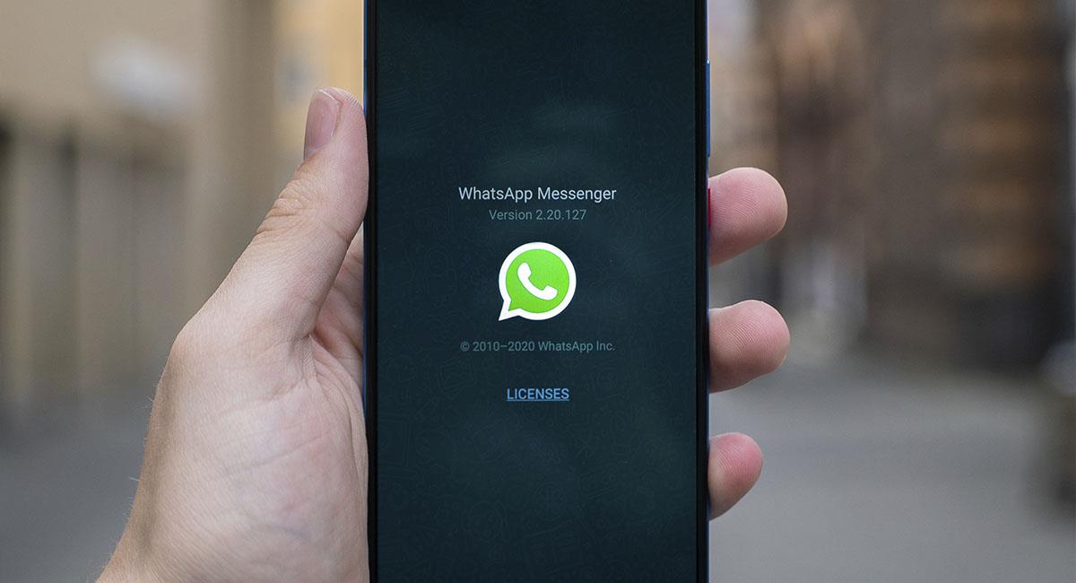 WhatsApp anuncia buscador de stickers, emojis navideños y más. Foto: Unsplash