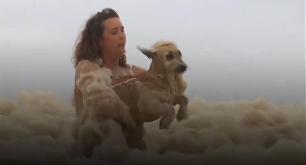 Mujer desesperada rescata a su perro de la tormenta de espuma en Australia. Foto: Youtube