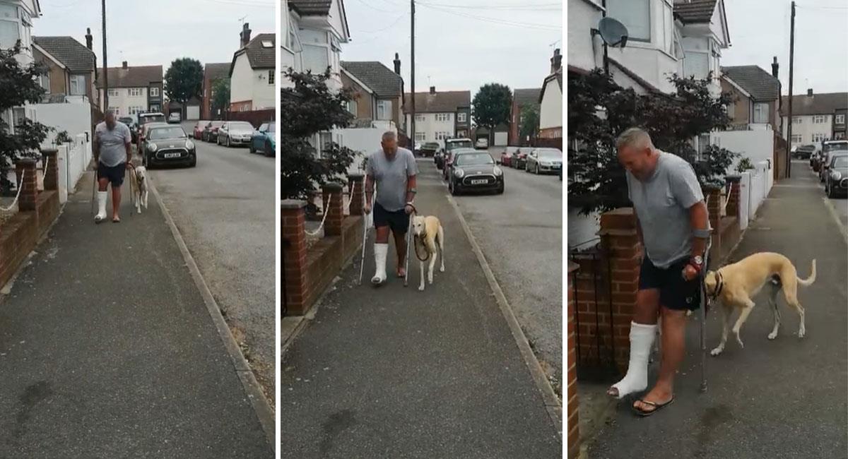 Hombre gasta 400 dólares para examinar a su perro cojo y descubre que lo imitaba. Foto: Facebook Russell Jones