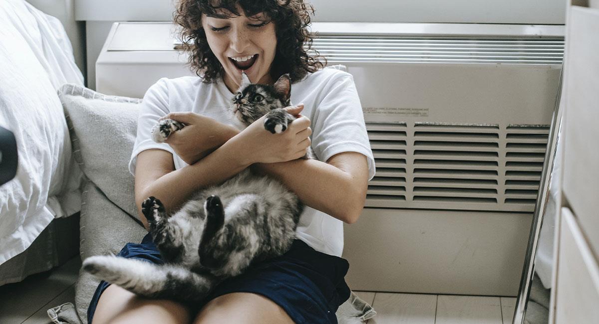¿Por qué se les dice “Karen” a las dueñas de gatos?. Foto: Pexels