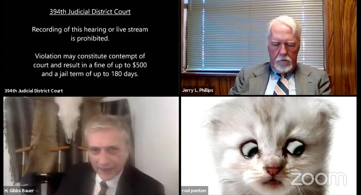 Abogado se presentó a una audiencia con filtro de gato en Zoom. Foto: Youtube
