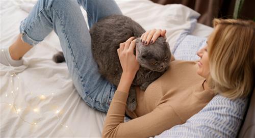 ¿Qué significa que un gato se acueste sobre el pecho de su dueño?