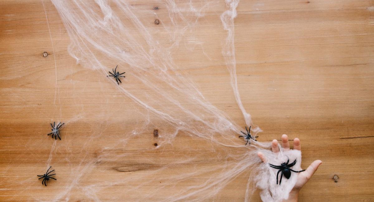 Conoce el significado de soñar con arañas. Foto: Freepik