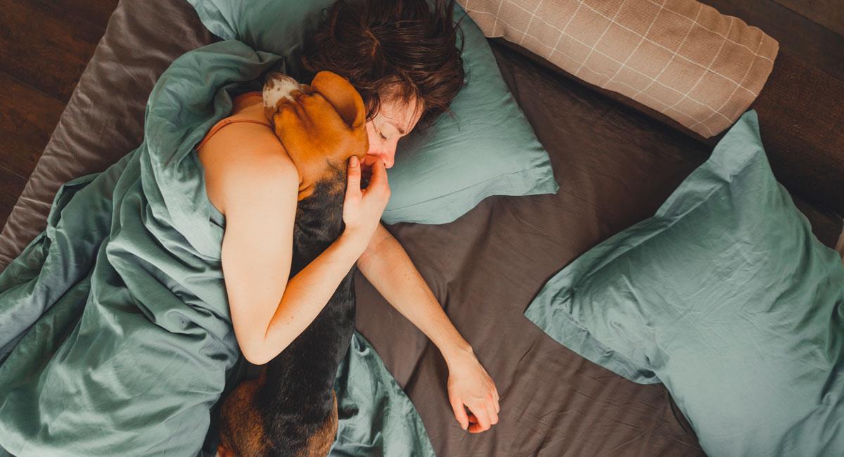 Averigua qué significa soñar con tu perrito. Foto: Shutterstock