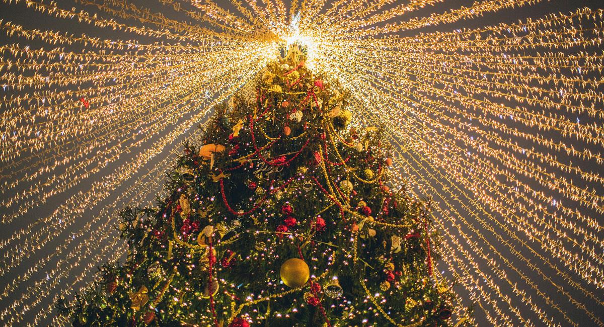 Conoce cuándo se desarma el árbol de Navidad. Foto: Pexels Elina Fairytale
