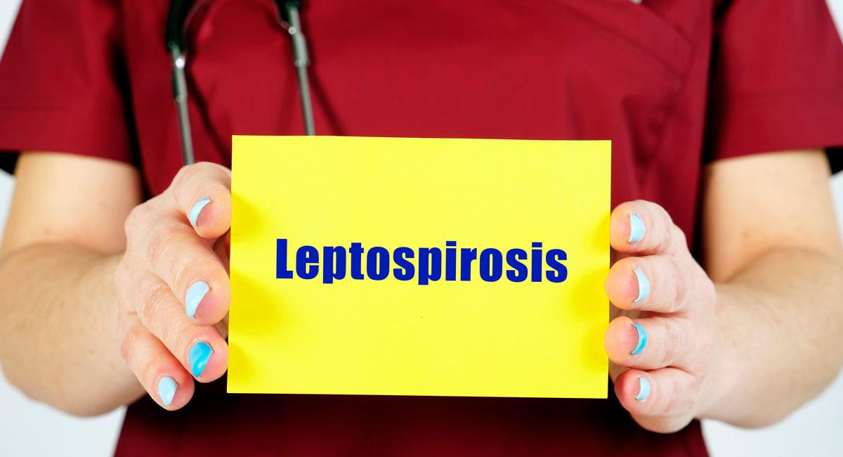 Leptospirosis afecta a tu mascota y puede contagiarte. Foto: Shutterstock