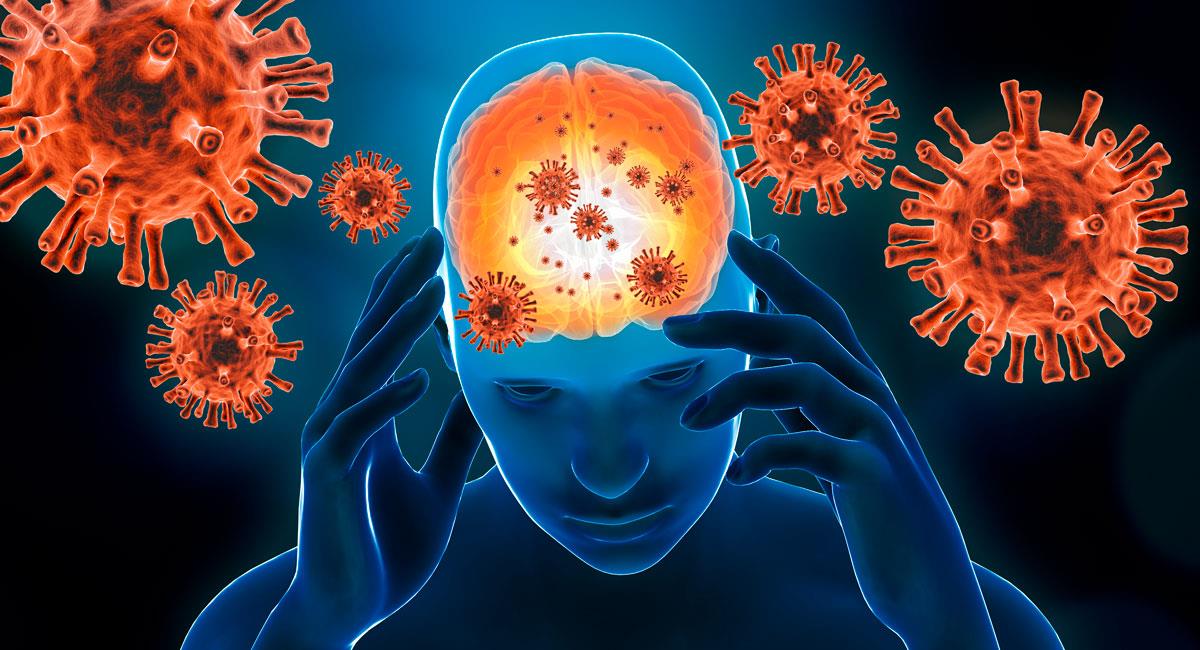 ¿Qué es encefalitis y por qué da?. Foto: Shutterstock