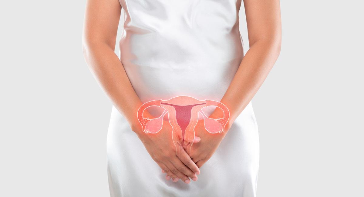 ¿Cómo prevenir el cáncer de ovario?. Foto: Shutterstock
